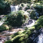 10月～今年もいよいよ後３か月です♪