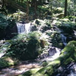 夏真っ盛り！　８月になりました♪